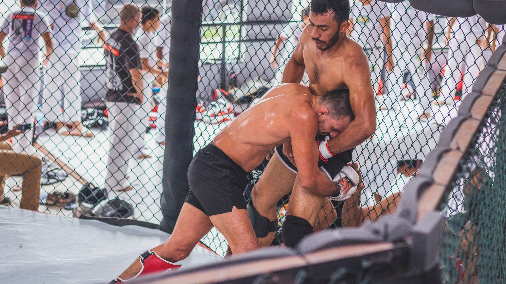Deux pratiquants de MMA travaillant dans une cage